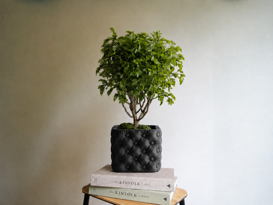 Hono tufted planter in Black, styled with books, LAYR, made in New Zealand