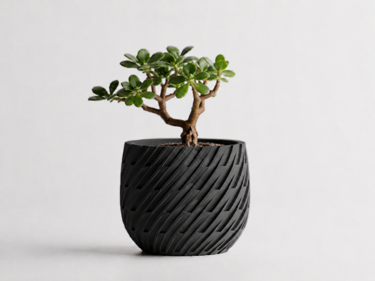 Kono woven planter in Black, LAYR, made in New Zealand
