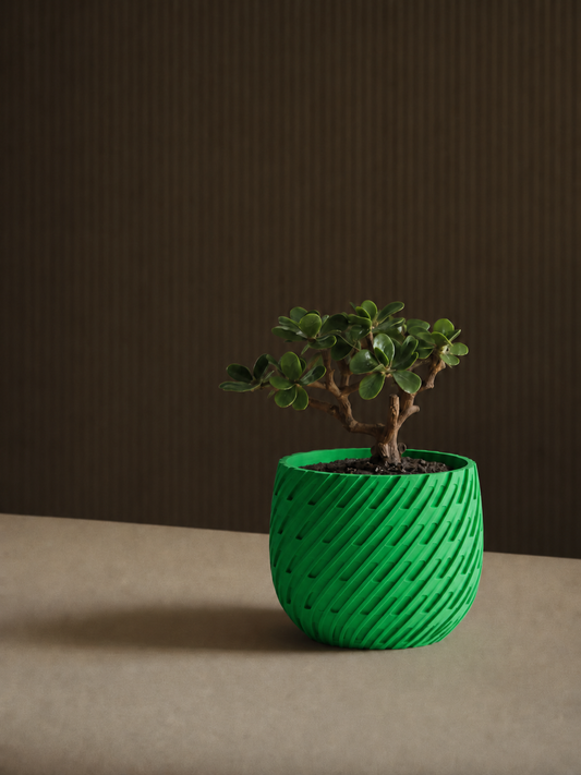 Kono woven planter in Green, against a dark backdrop, LAYR, made in New Zealand
