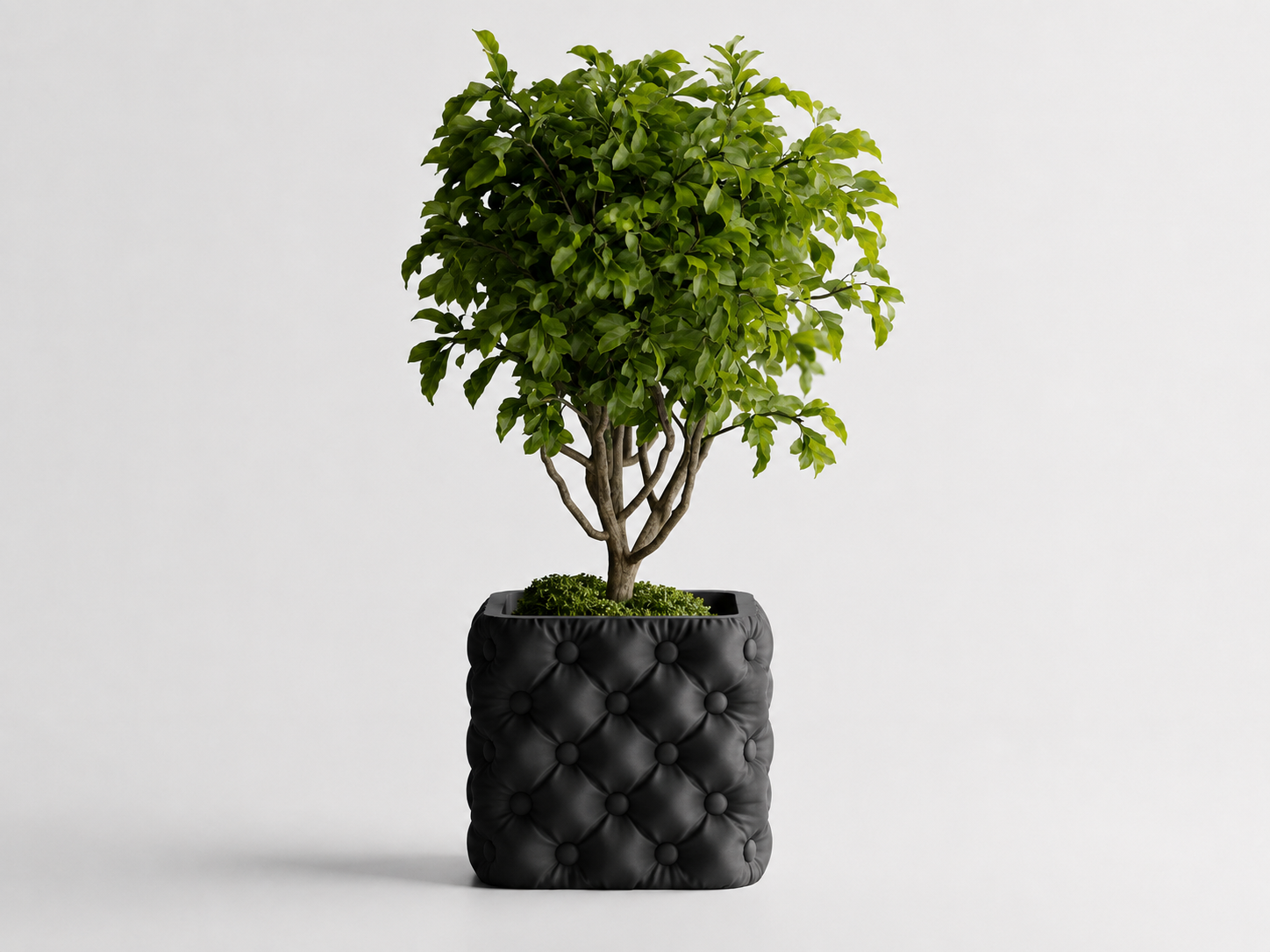 Hono tufted planter in Black, LAYR, made in New Zealand