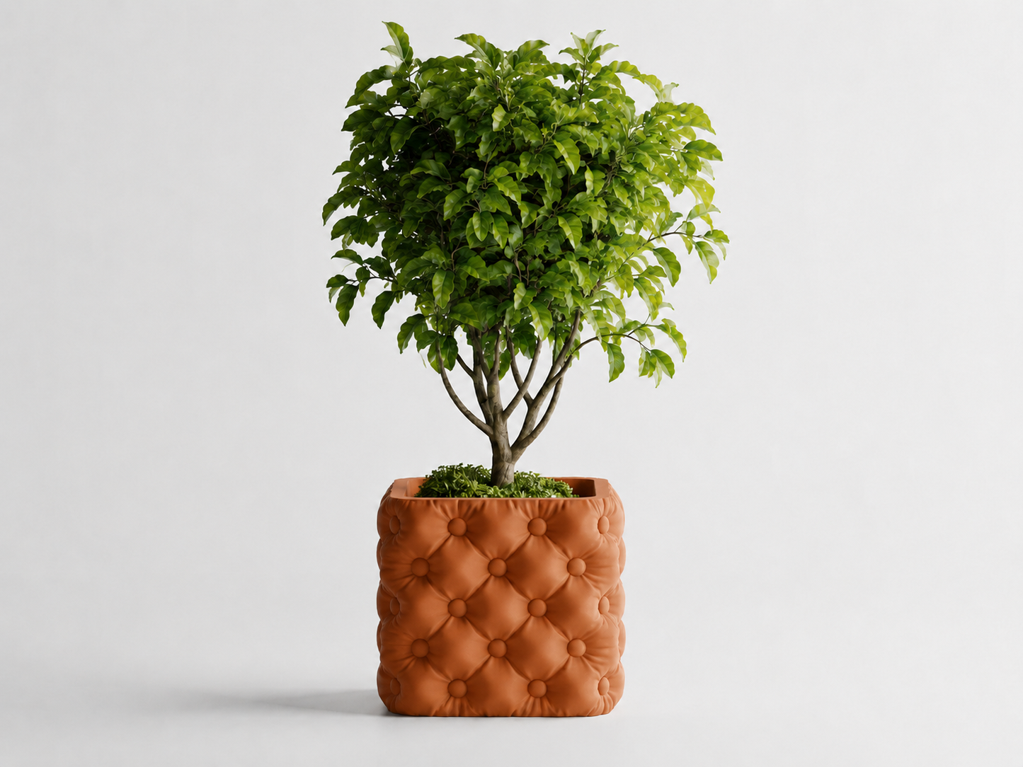 Hono tufted planter in Brown, LAYR, made in New Zealand