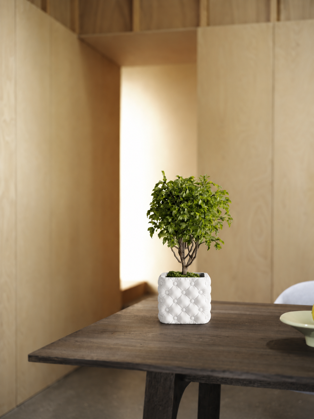 Hono tufted planter in White, in a warm wood-toned room, LAYR, made in New Zealand