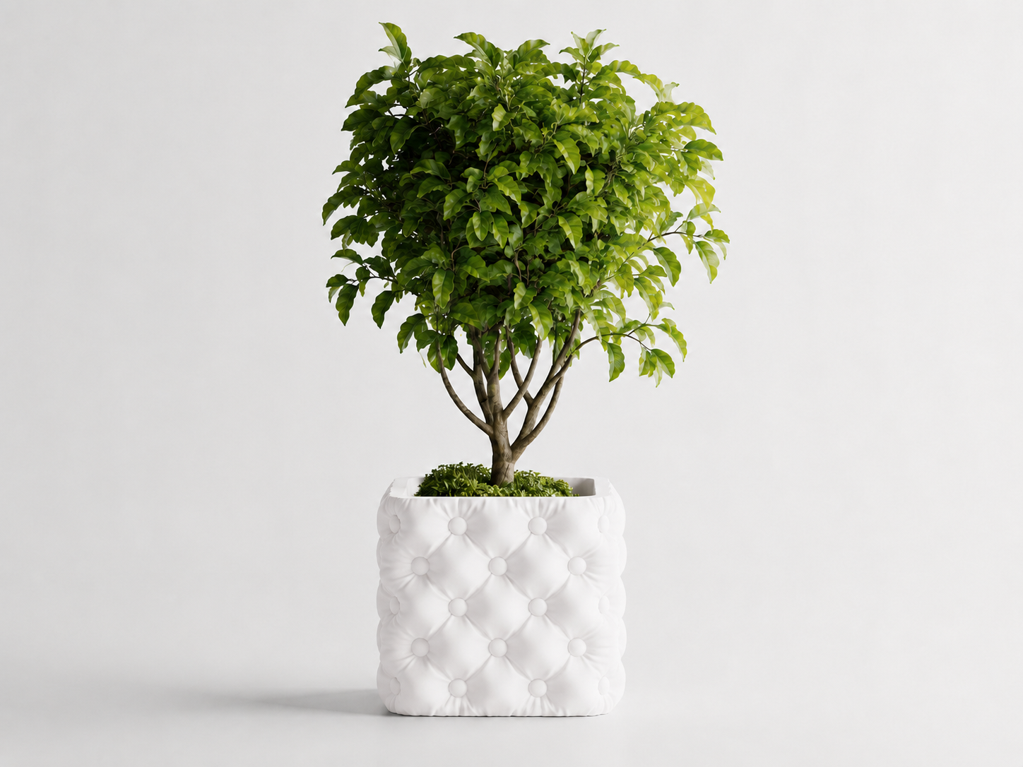 Hono tufted planter in White, LAYR, made in New Zealand