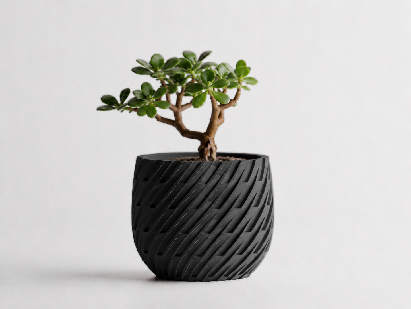 Kono woven planter in Black, LAYR, made in New Zealand