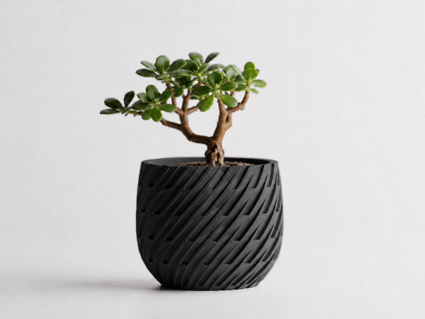Kono woven planter in Black, LAYR, made in New Zealand