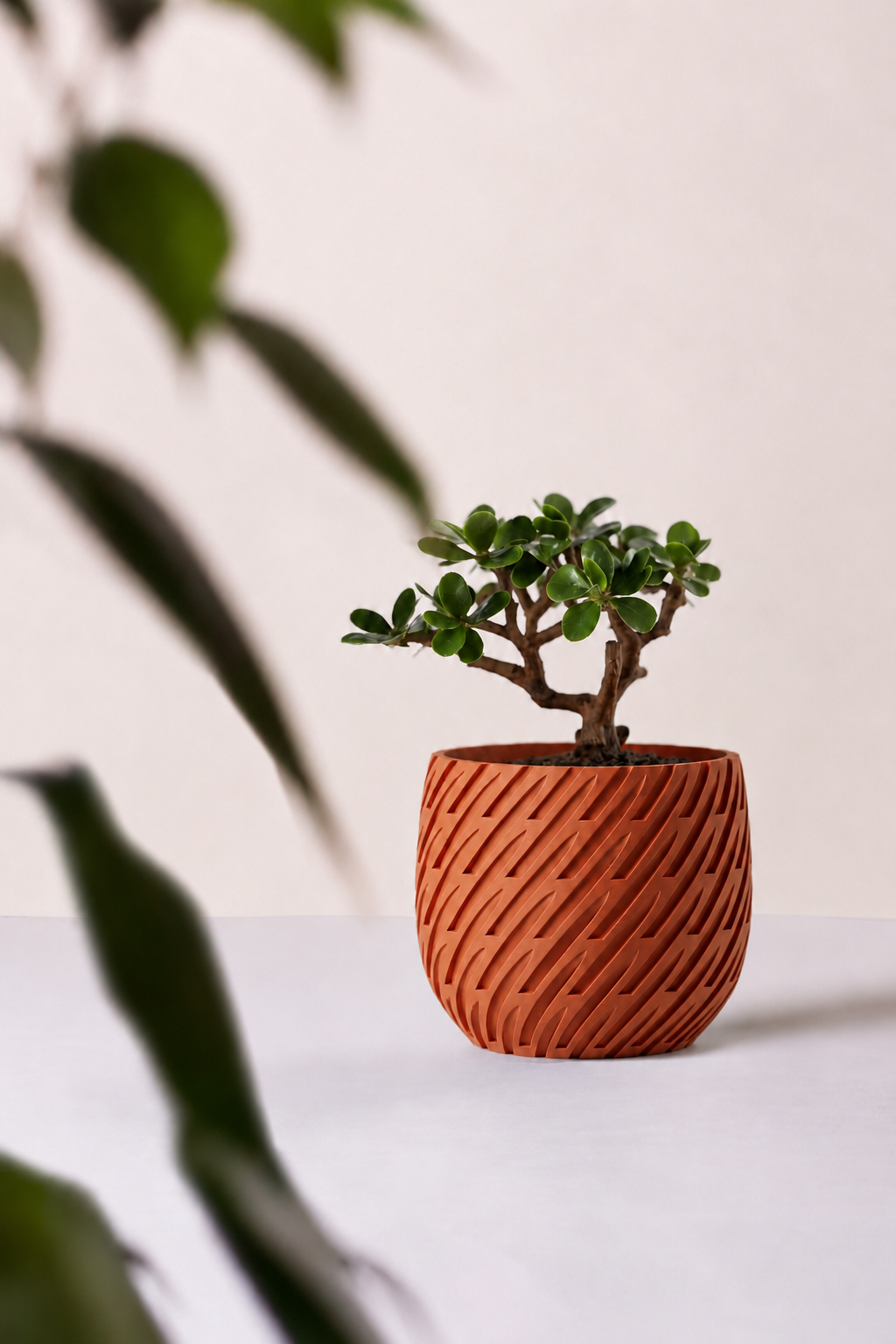 Kono woven planter in Brown, with trailing leaves, LAYR, made in New Zealand
