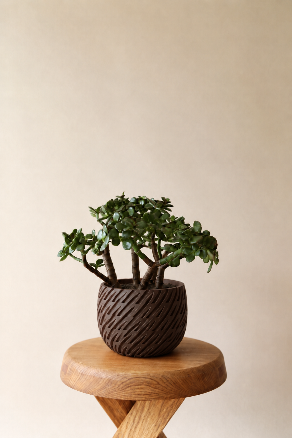 Kono woven planter in Dark Brown, on a wooden stool, LAYR, made in New Zealand