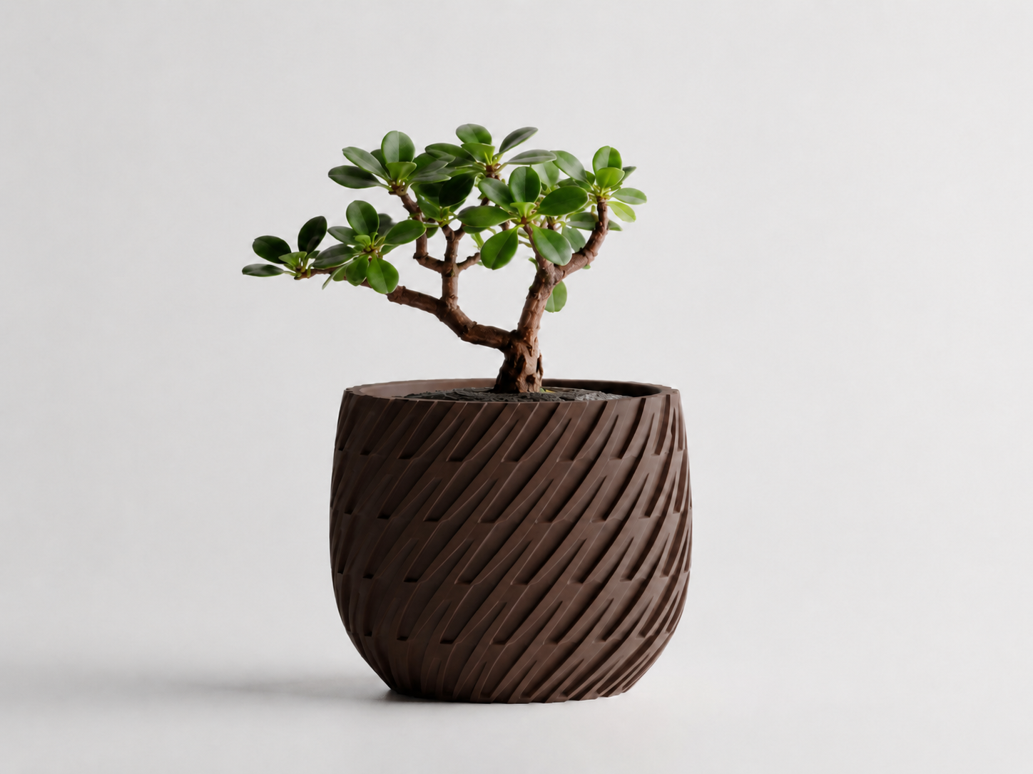 Kono woven planter in Dark Brown, LAYR, made in New Zealand