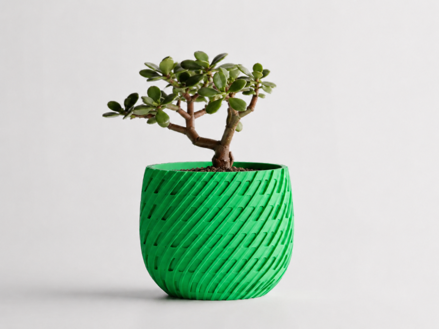Kono woven planter in Green, LAYR, made in New Zealand