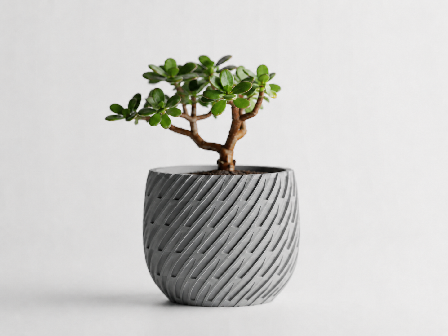 Kono woven planter in Grey, LAYR, made in New Zealand
