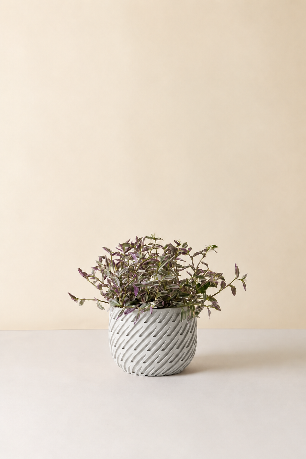 Kono woven planter in White, planted with a tradescantia, LAYR, made in New Zealand