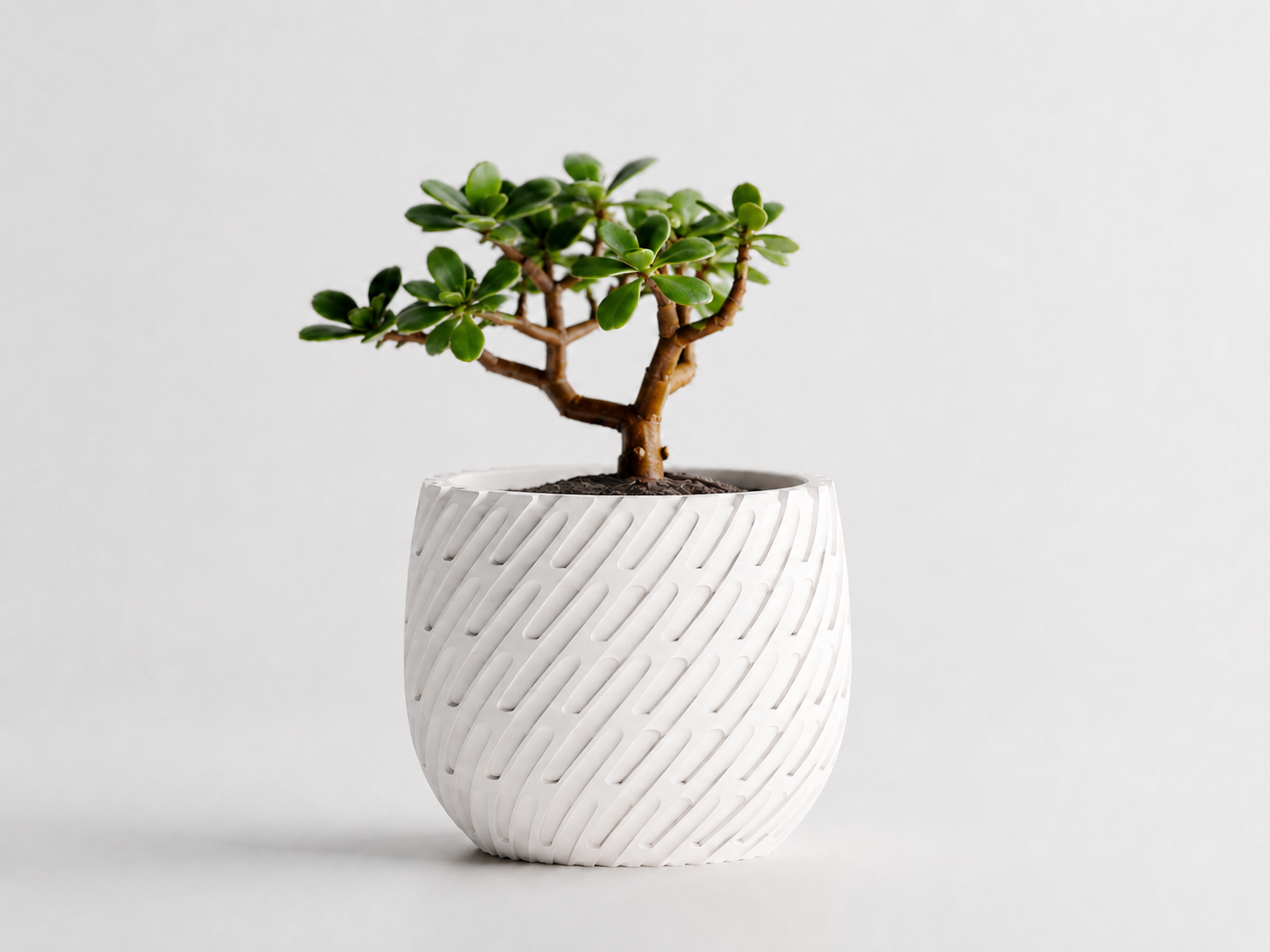 Kono woven planter in White, LAYR, made in New Zealand