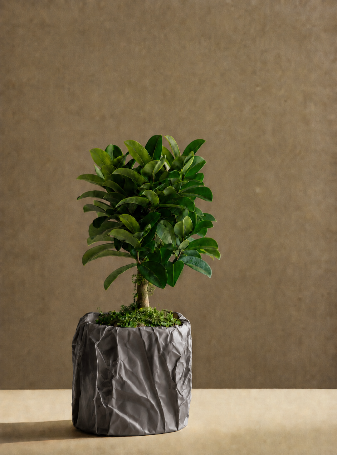 Kōpaki planter in Dark Grey, view 1, LAYR, made in New Zealand