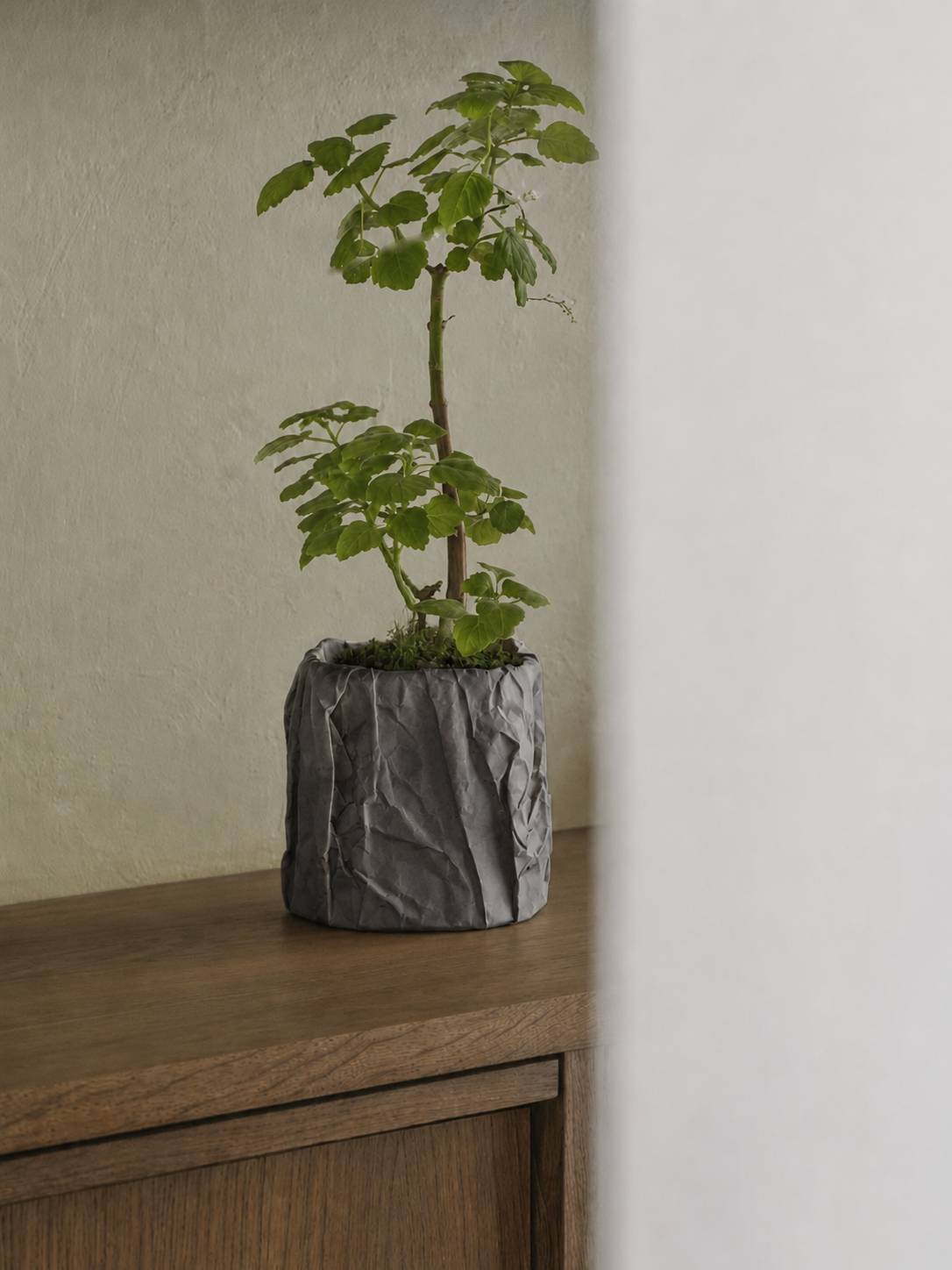 Kōpaki planter in Dark Grey, view 2, LAYR, made in New Zealand
