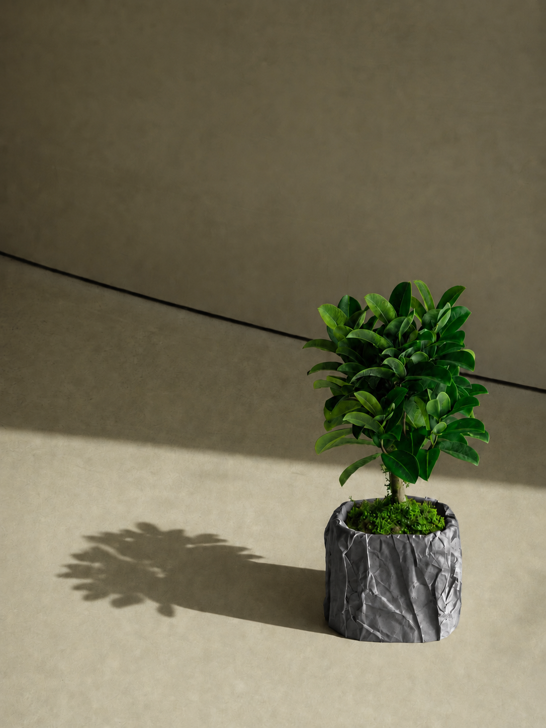 Kōpaki planter in Dark Grey, view 3, LAYR, made in New Zealand