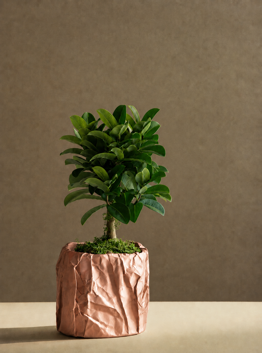 Kōpaki designer planter in shimmering Rose Gold, LAYR, made in New Zealand