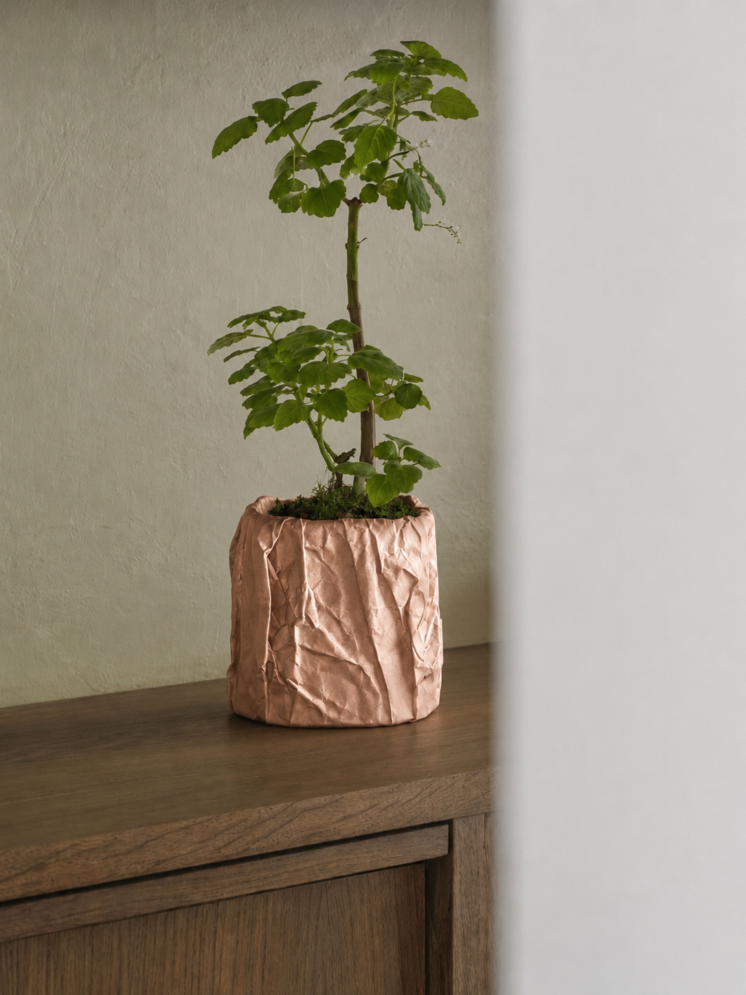 Kōpaki planter in Rose Gold, view 2, LAYR, made in New Zealand