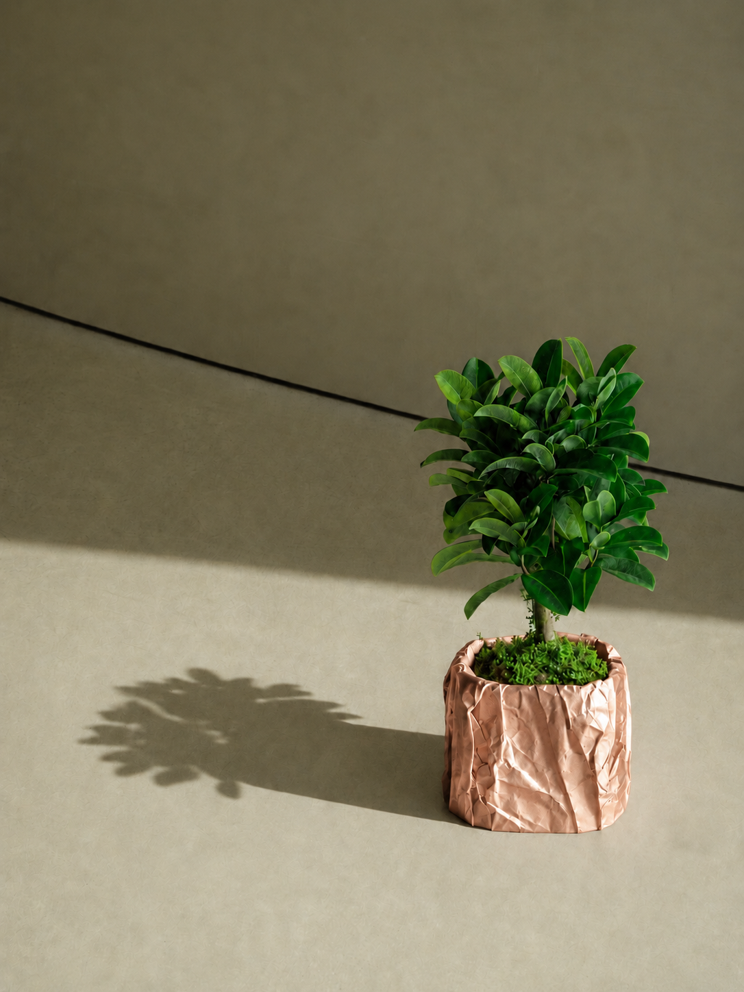 Kōpaki planter in Rose Gold, view 3, LAYR, made in New Zealand