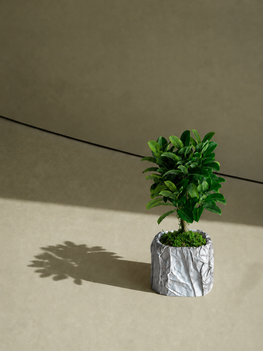 Kōpaki planter in Silver, view 1, LAYR, made in New Zealand