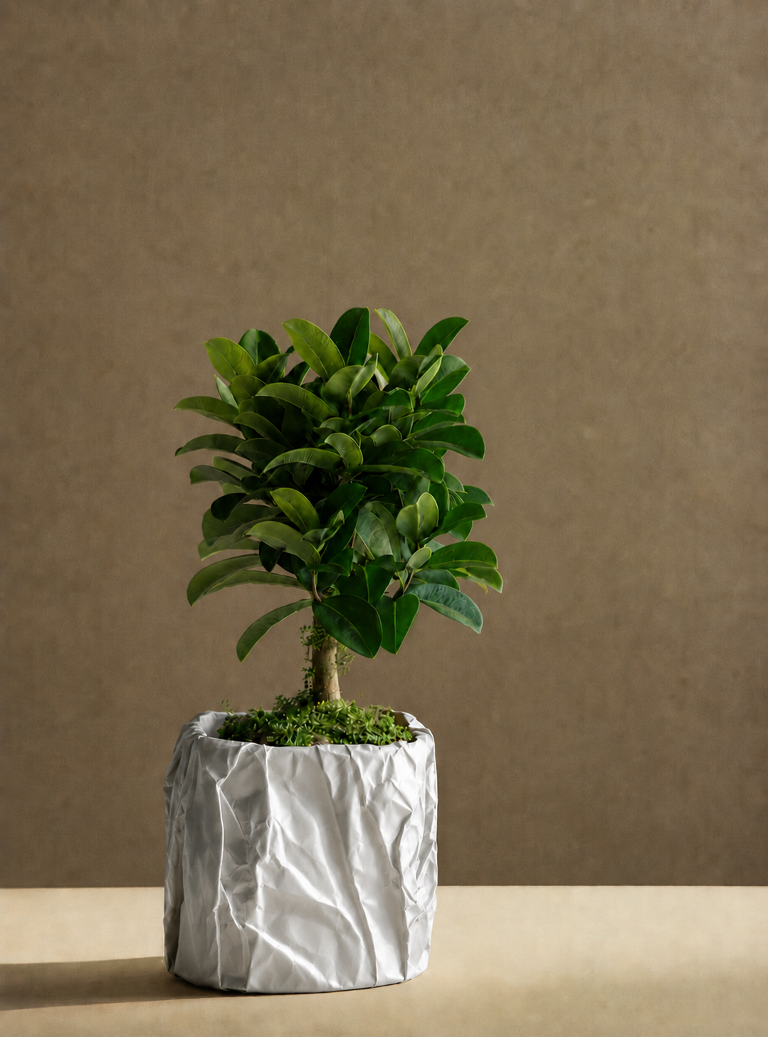 Kōpaki planter in Silver, view 2, LAYR, made in New Zealand