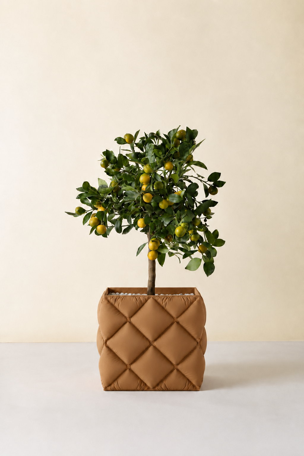 Kupenga quilted planter in Brown, planted with a kumquat tree, LAYR, made in New Zealand