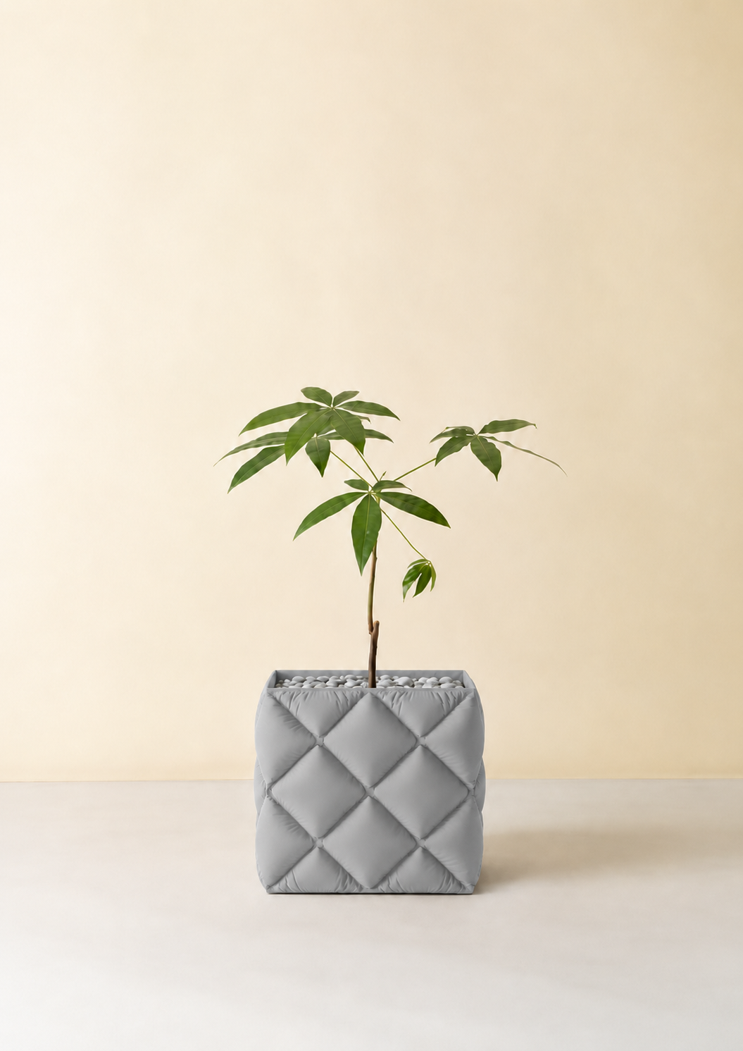 Kupenga quilted planter in Grey, planted with a sapling, LAYR, made in New Zealand